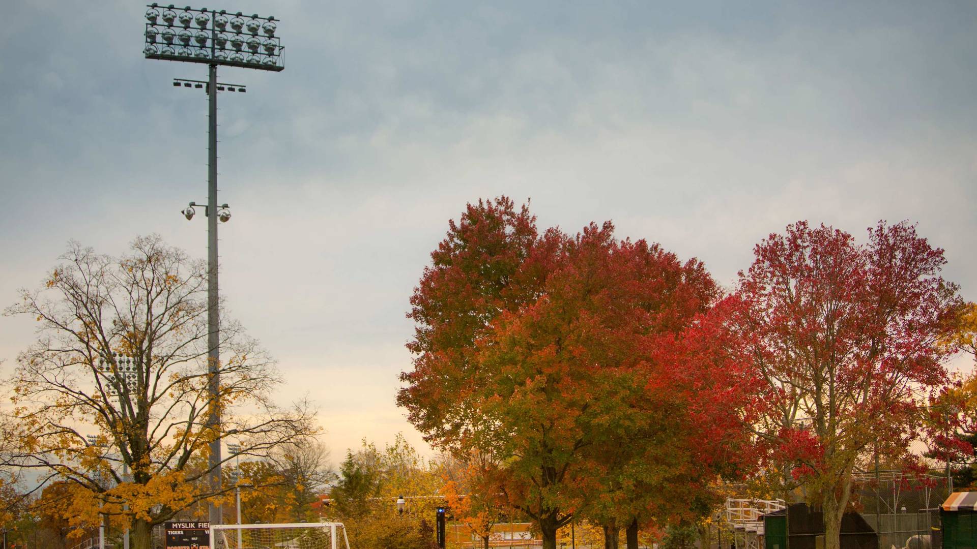 Trees turn color in golden twilight on the soccer field