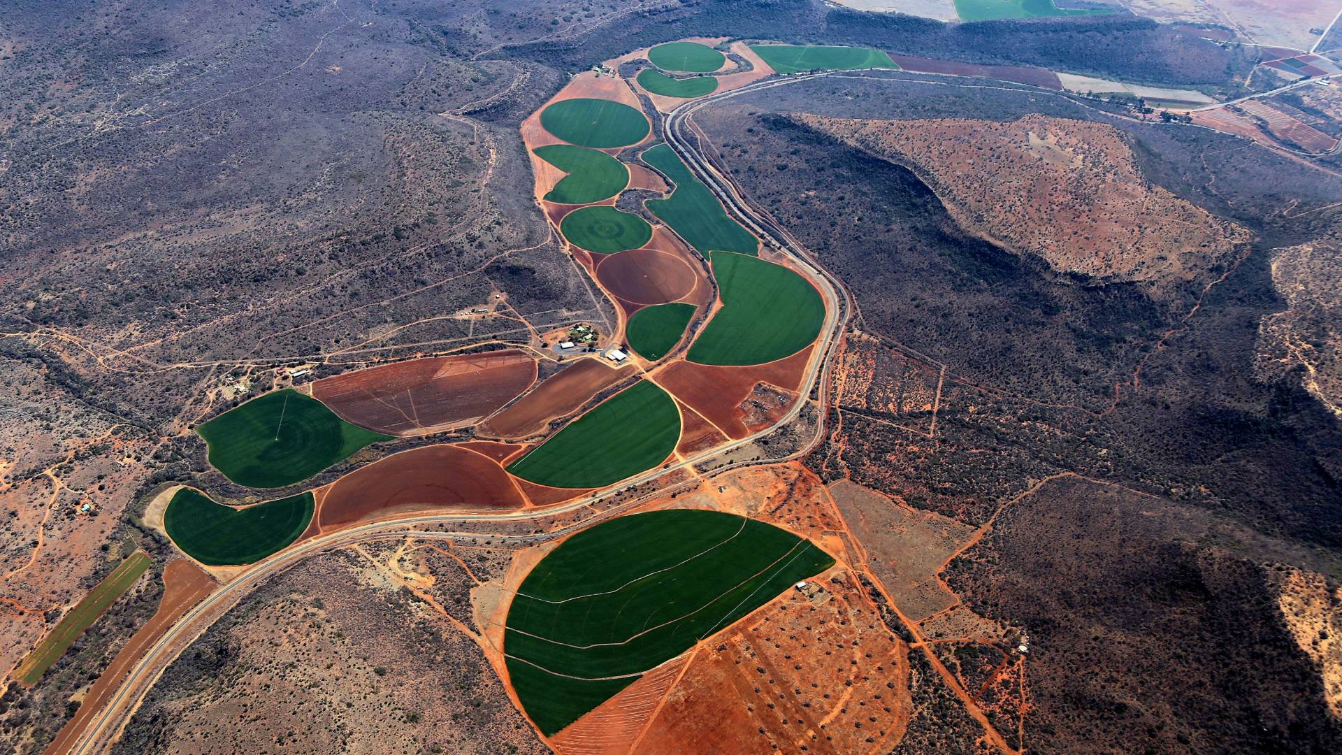 Aerial view of cultivated landscape
