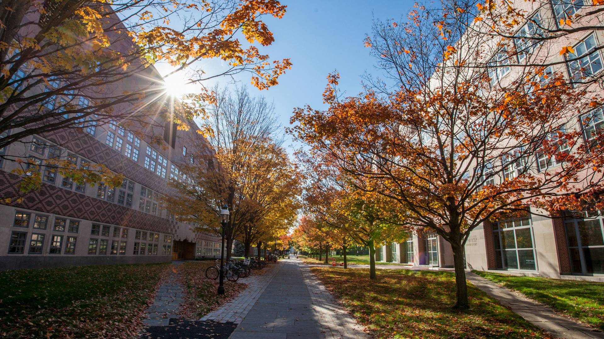 sunlight glints on autumnal campus scene