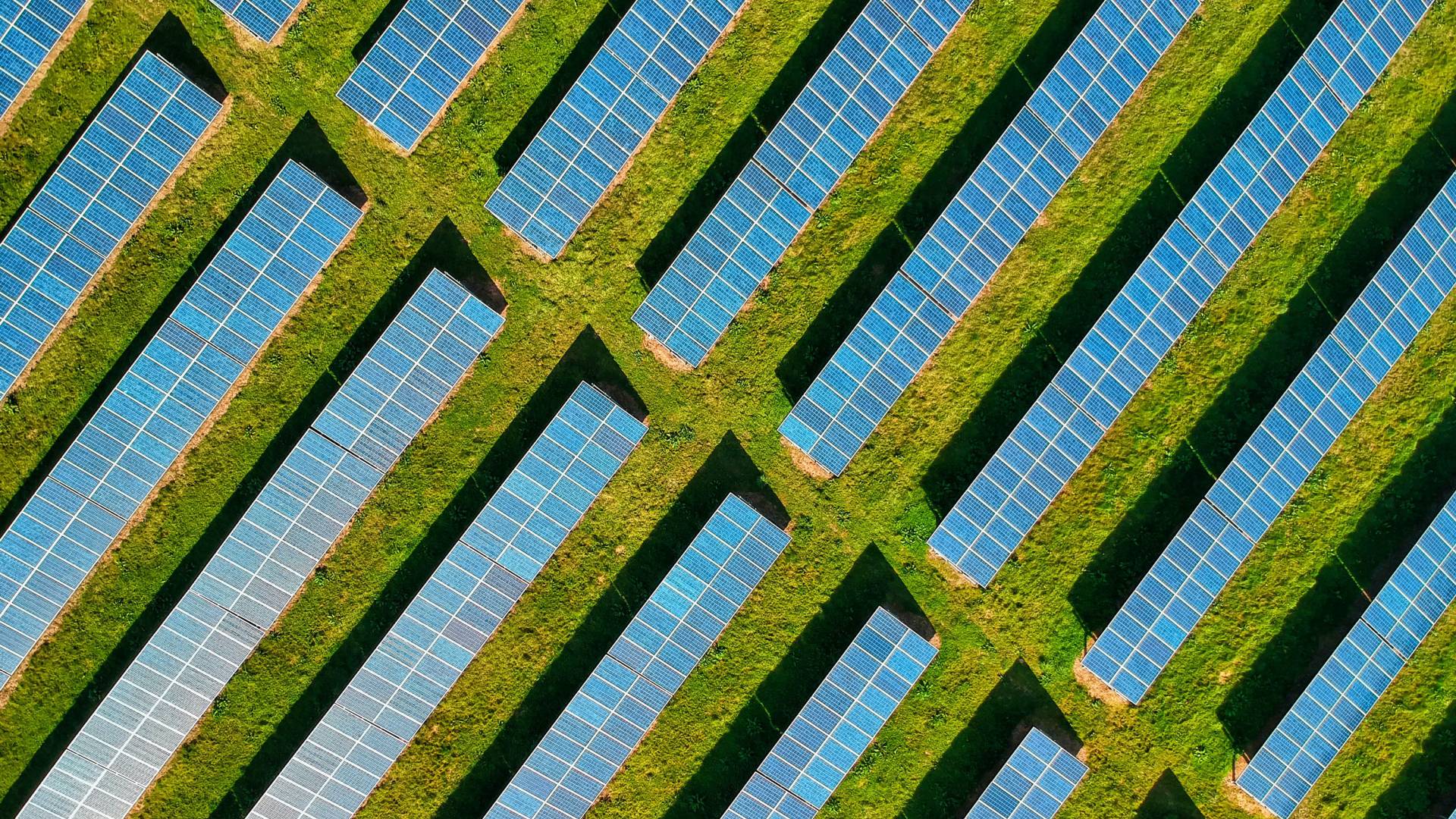 Aerial of solar panels in a field