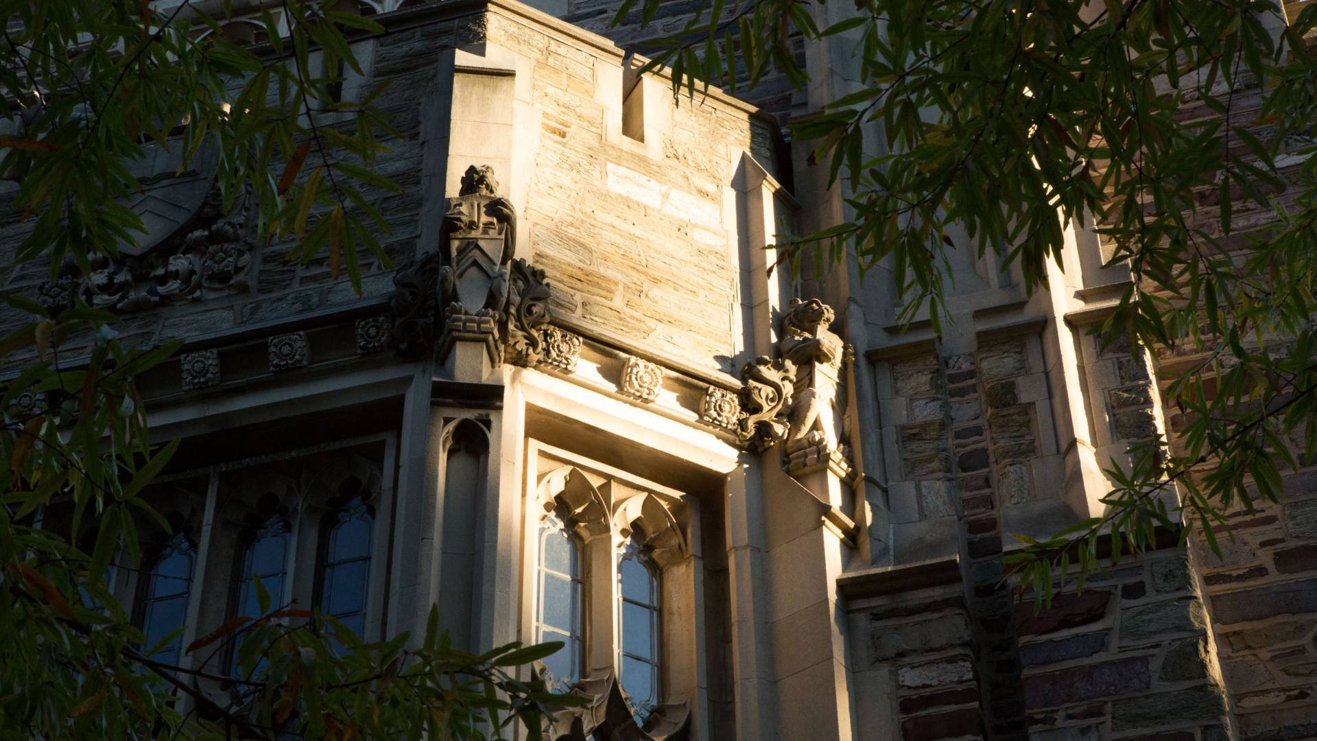 light falls on an architectural detail on the Chapel