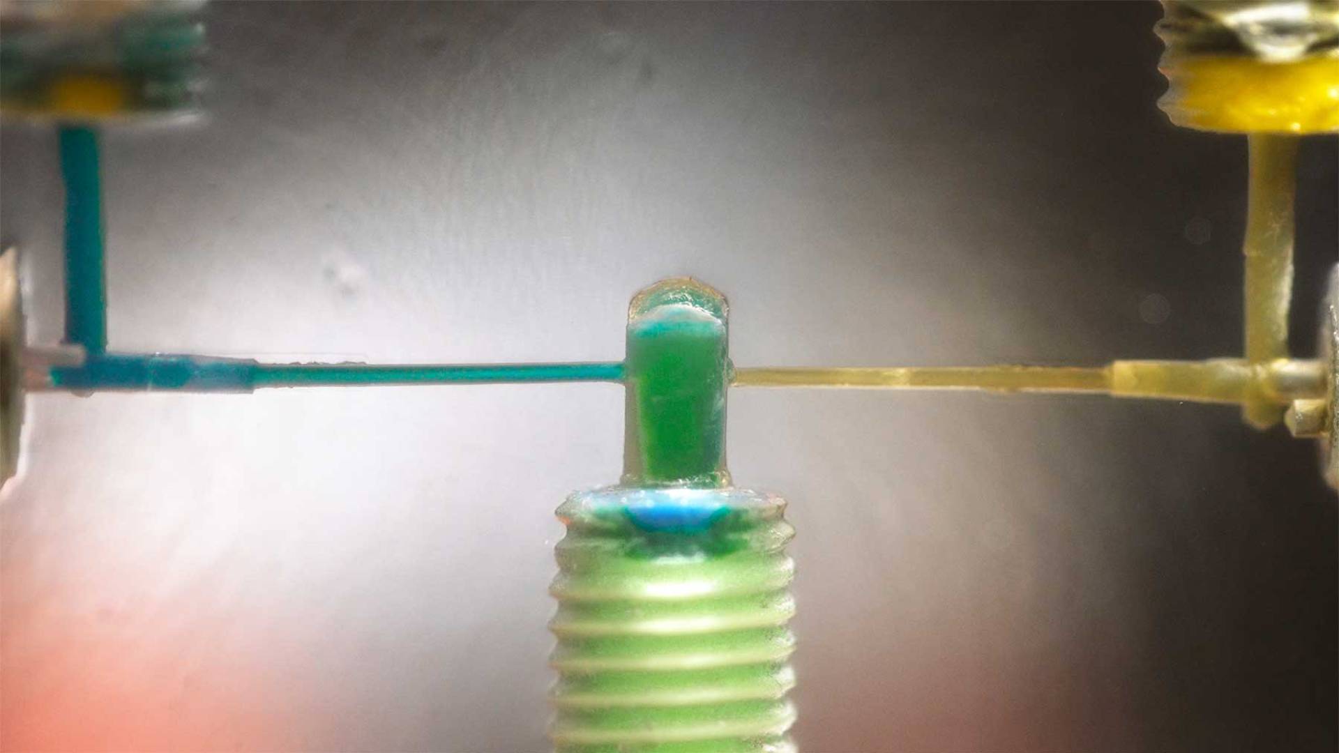 Our COVID19 vaccines would not exist without this unsung Princeton