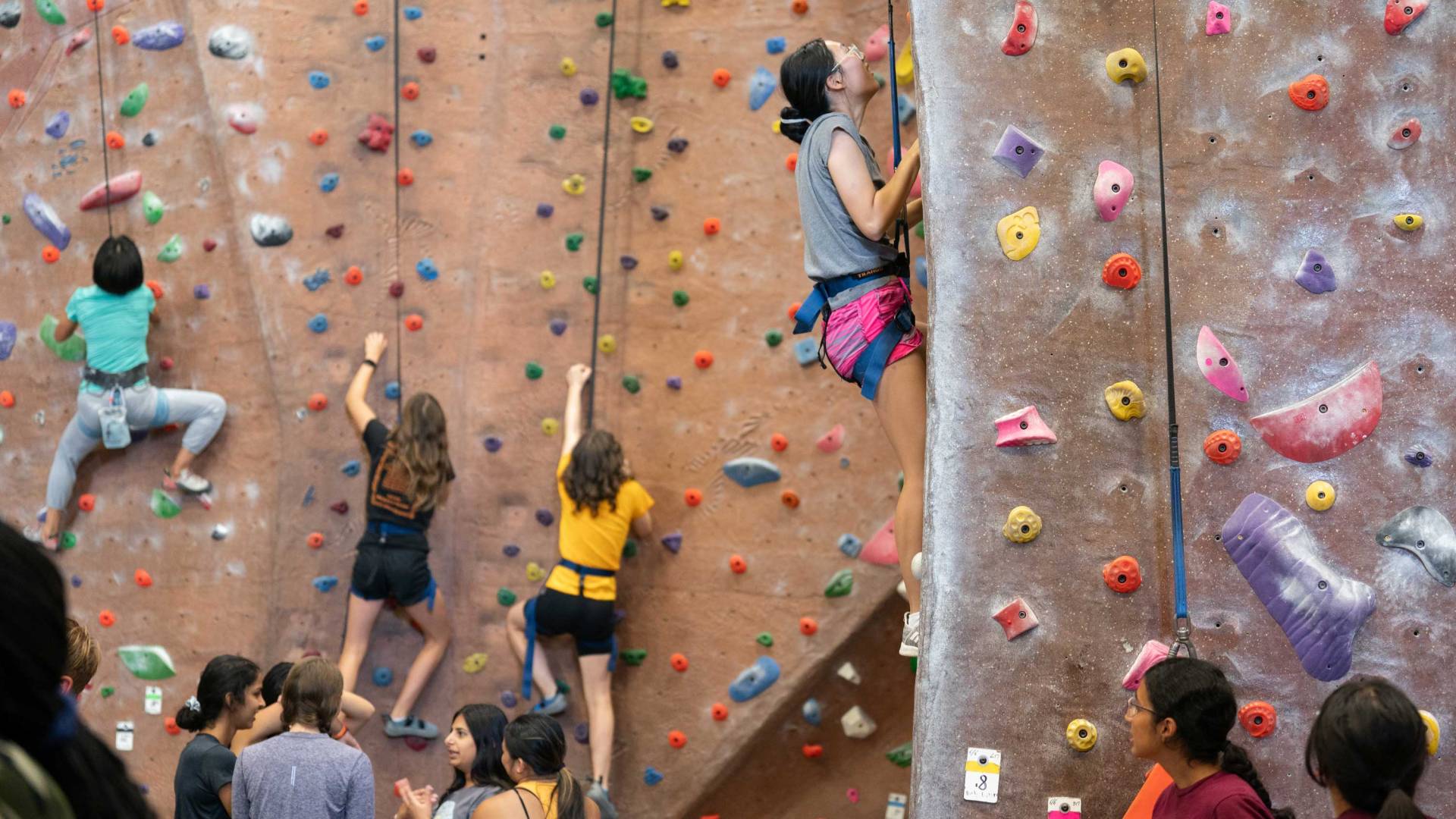 Students on the rock climbing wall