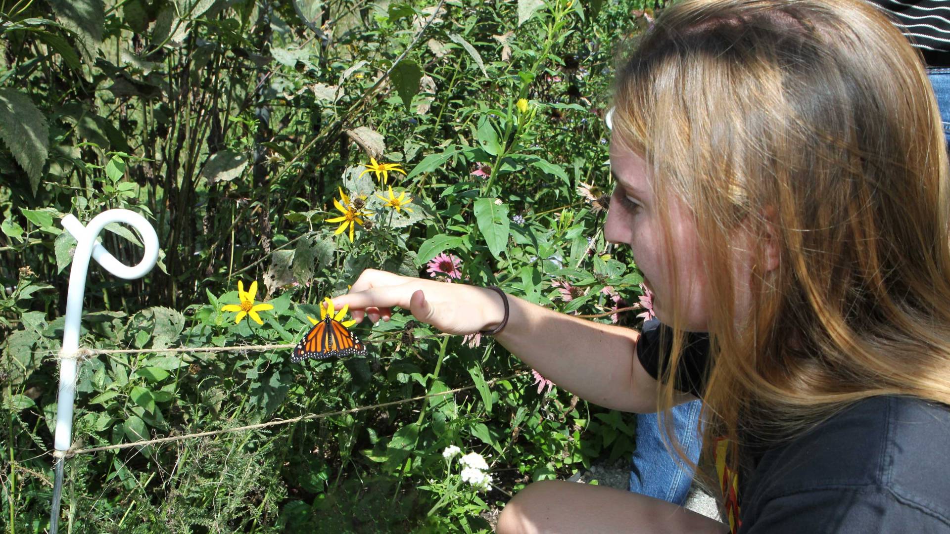 A student gets close to a butterfly