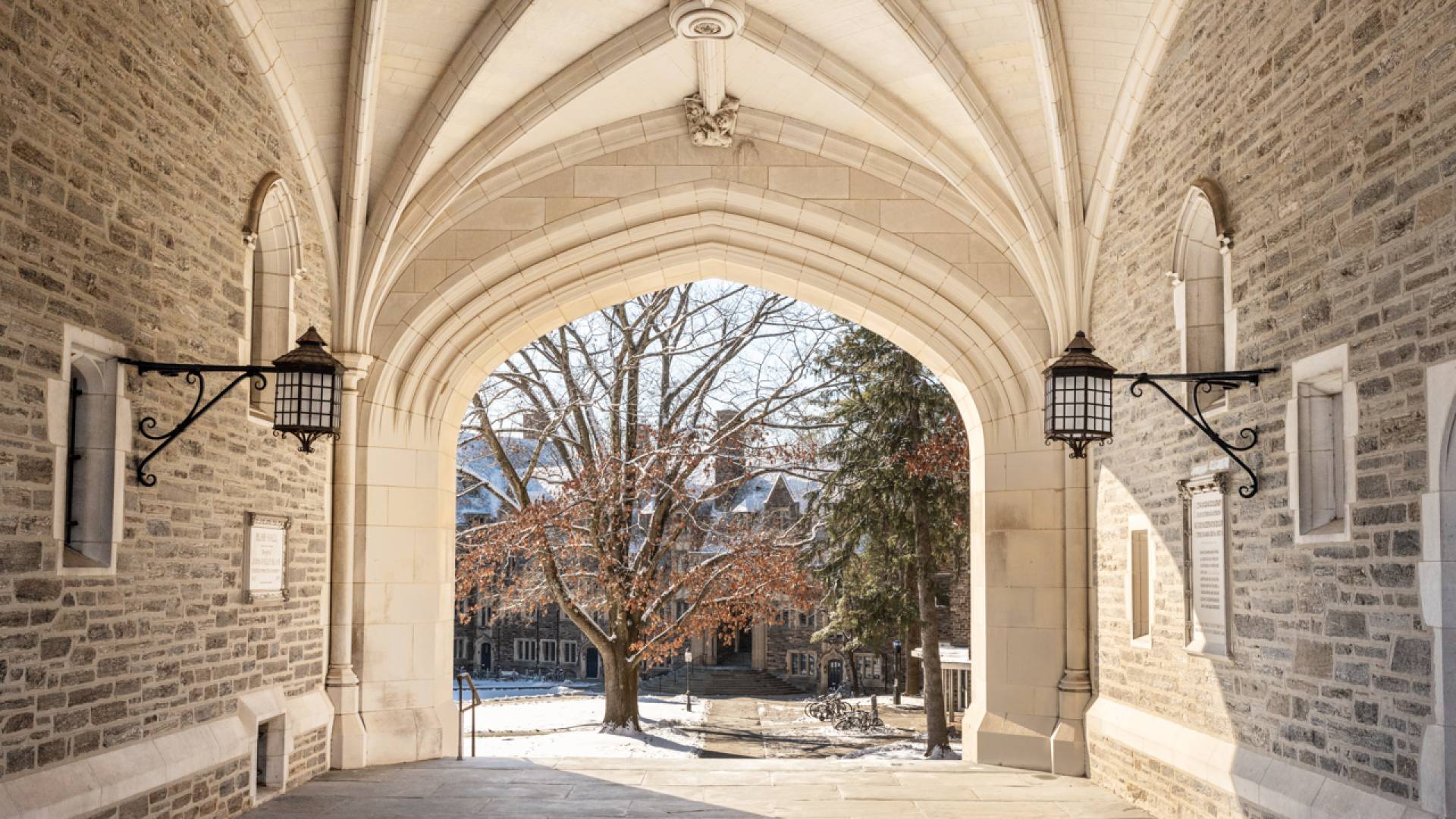 The University community mourns the loss of undergraduate James Li