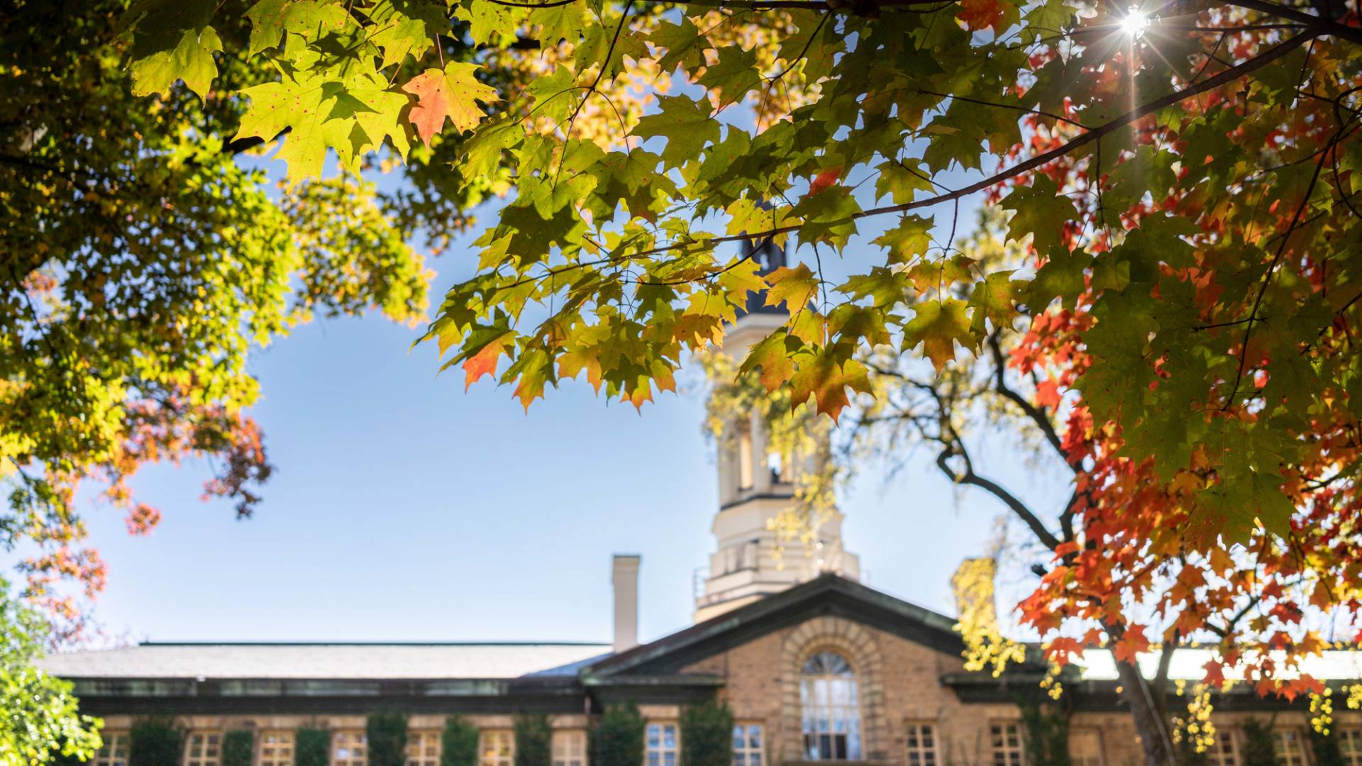 Sun peaking trough the leaves of a tree, Nassau Hall in the background