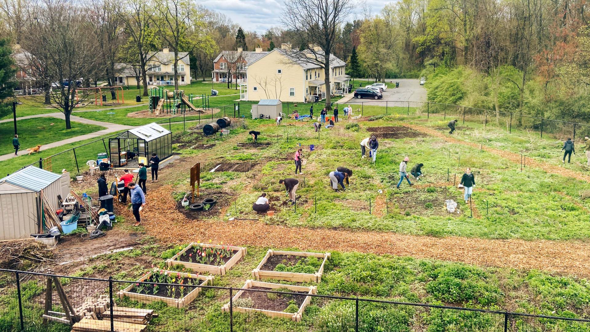 A bird's eye view of garden plots.