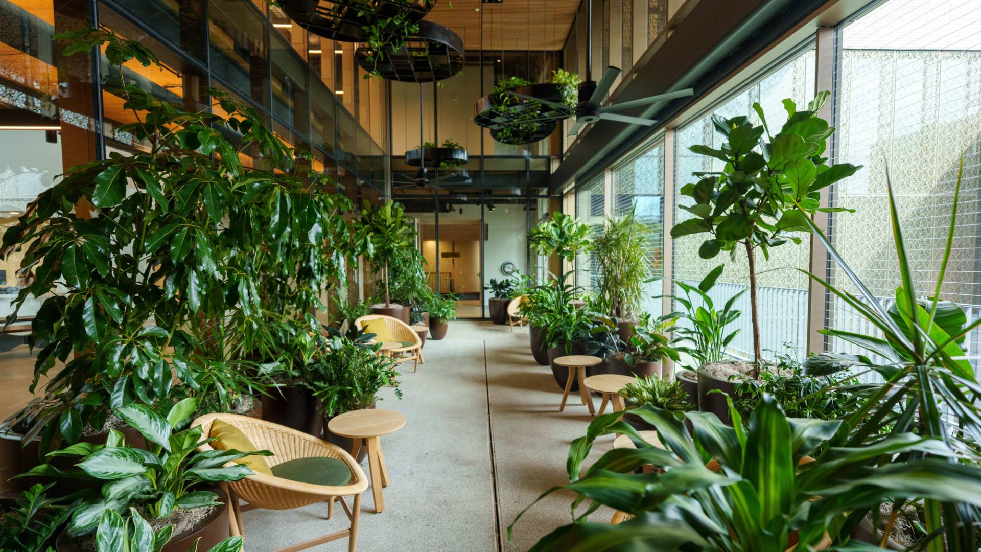 Room filled with plants