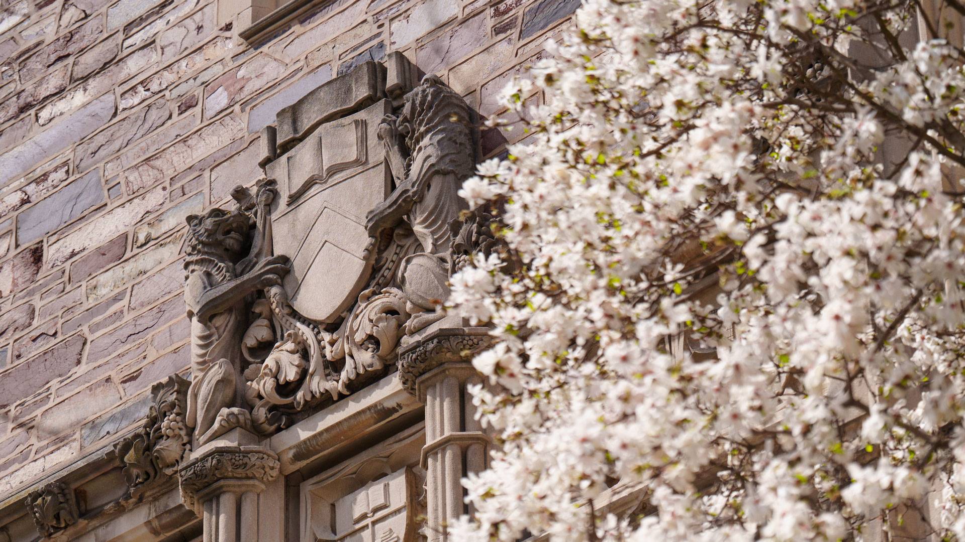 A stone carving of Princeton's academic seal decorates a campus building.