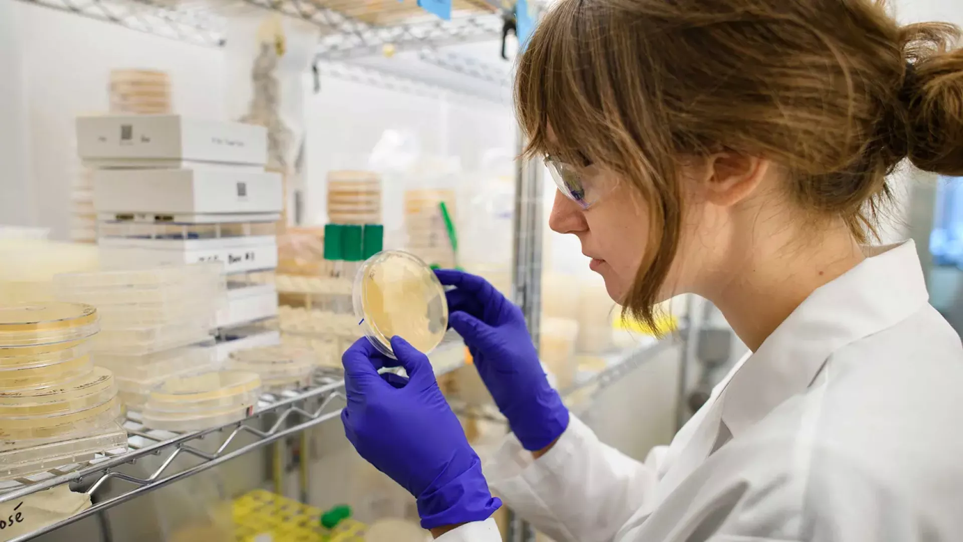 Lab technician reviews a Petri dish.
