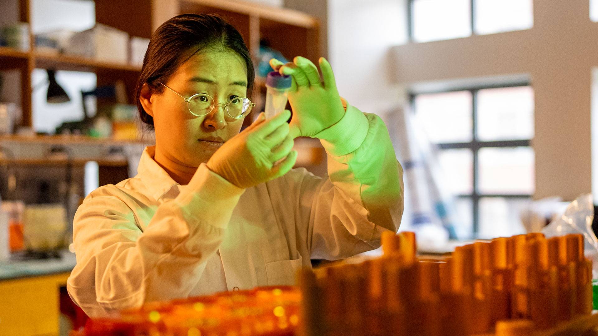 A researcher from Yibin Kang's lab team examines the contents of a beaker