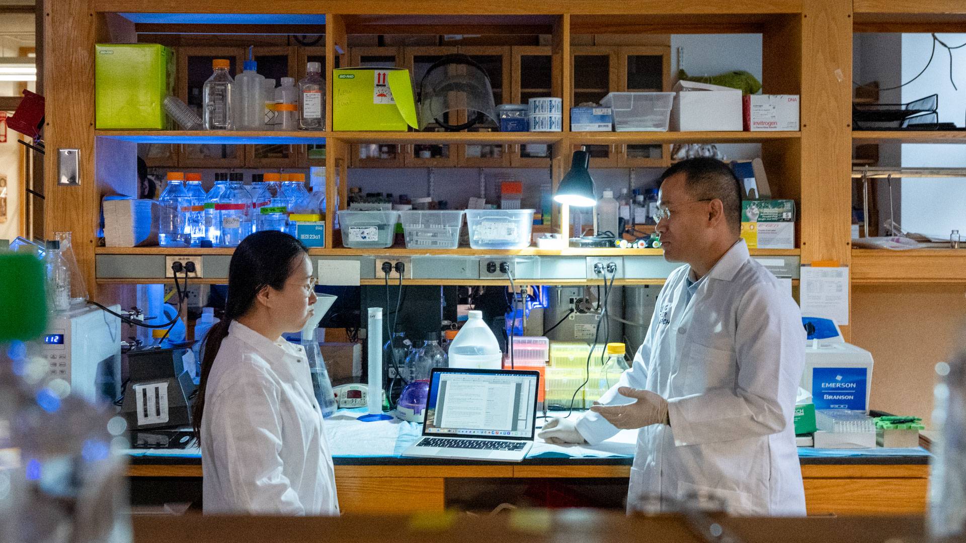 Yiban Kang and  postdoctoral fellow Yujiao Han in the lab