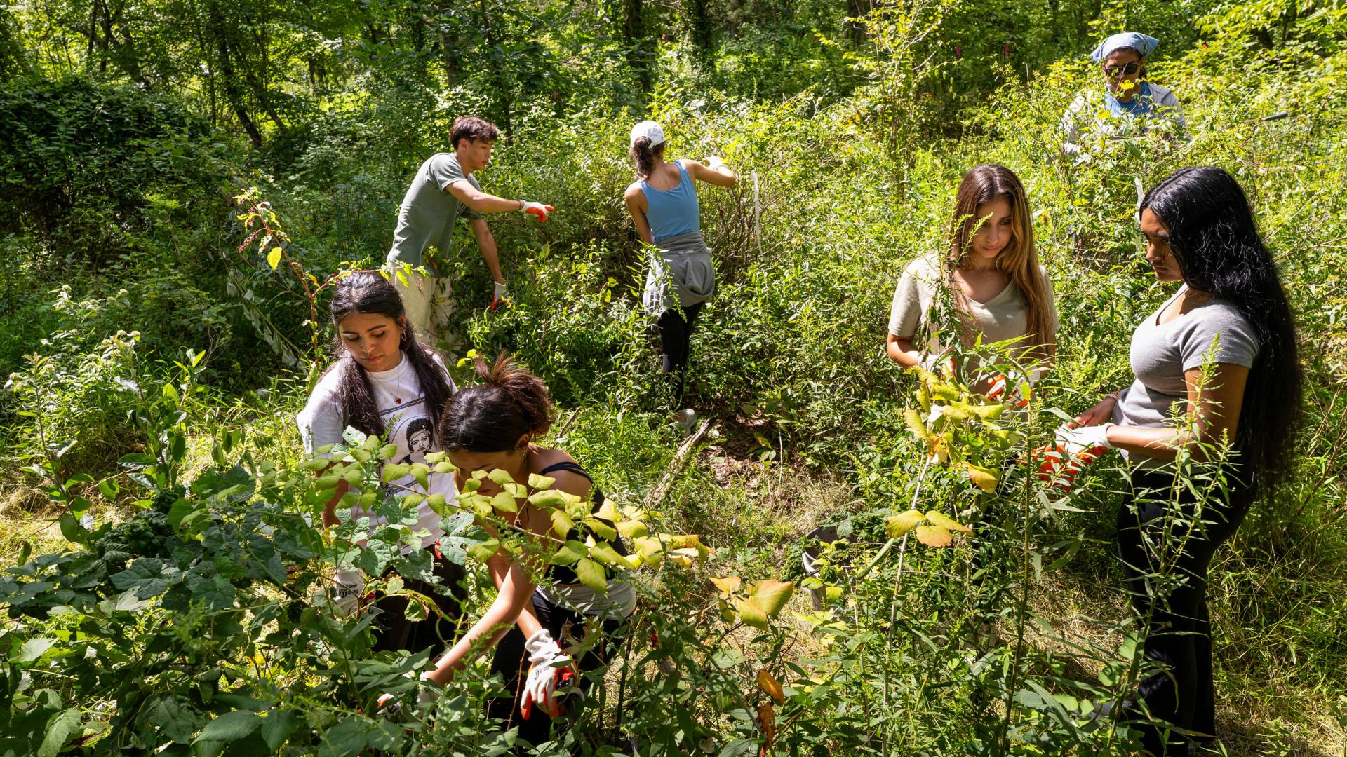 Community Action students