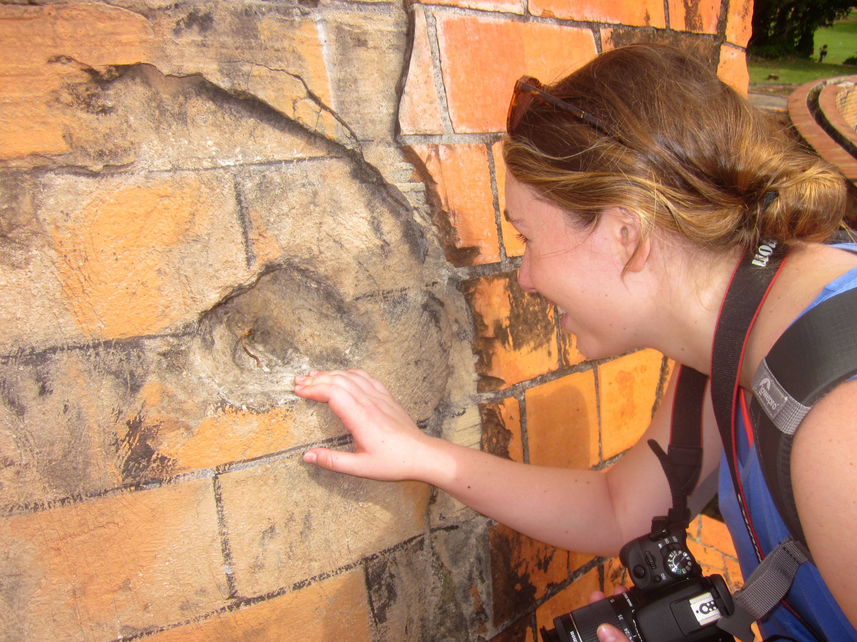 Elderly housing case study picture