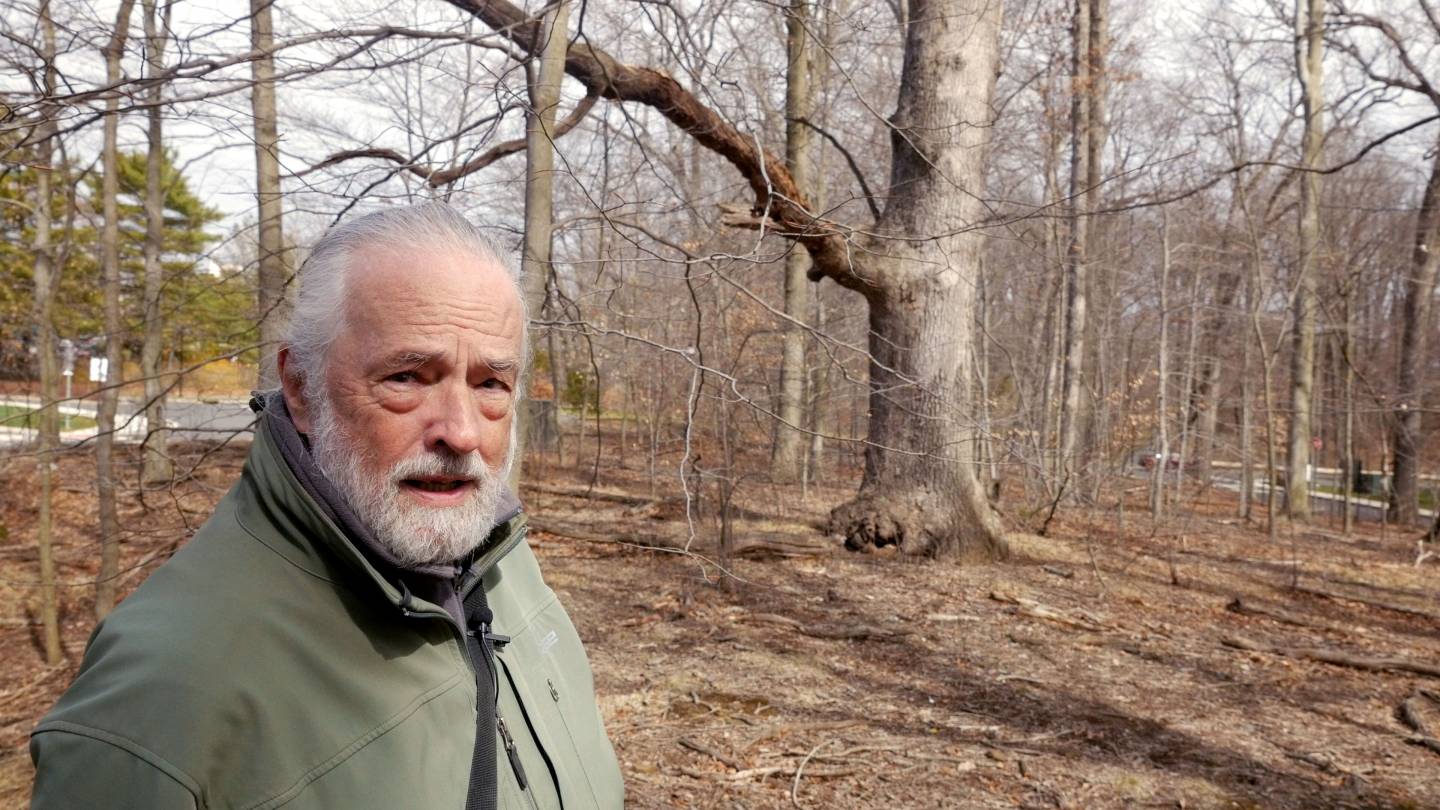 Professor Henry Horn leads a campus walk