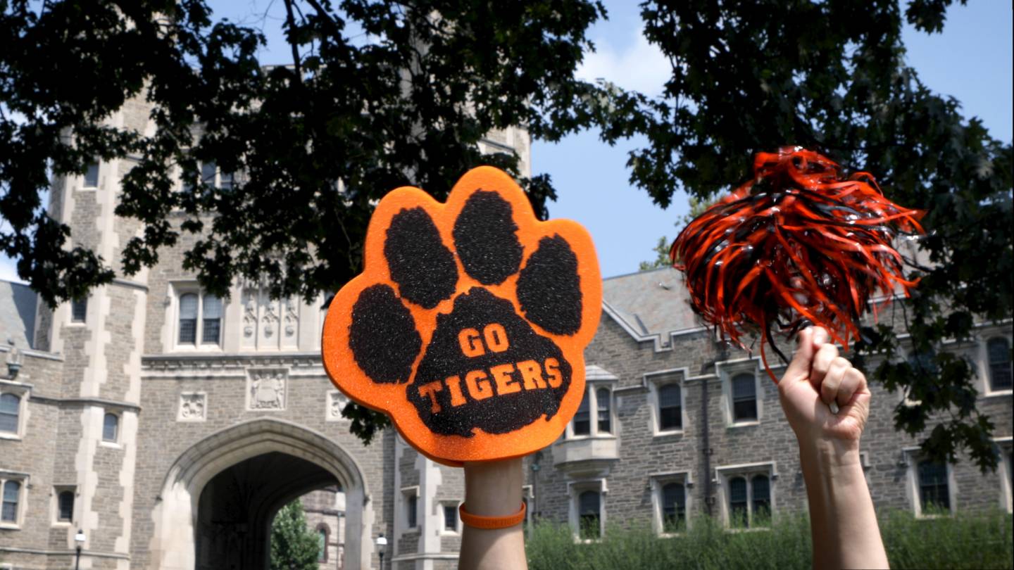 "Go Tigers" fan glove and orange and black pompom waving