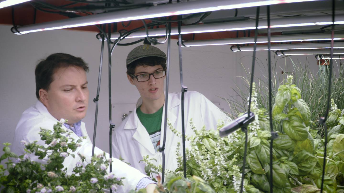 Professor with student working in Vertical Farming lab