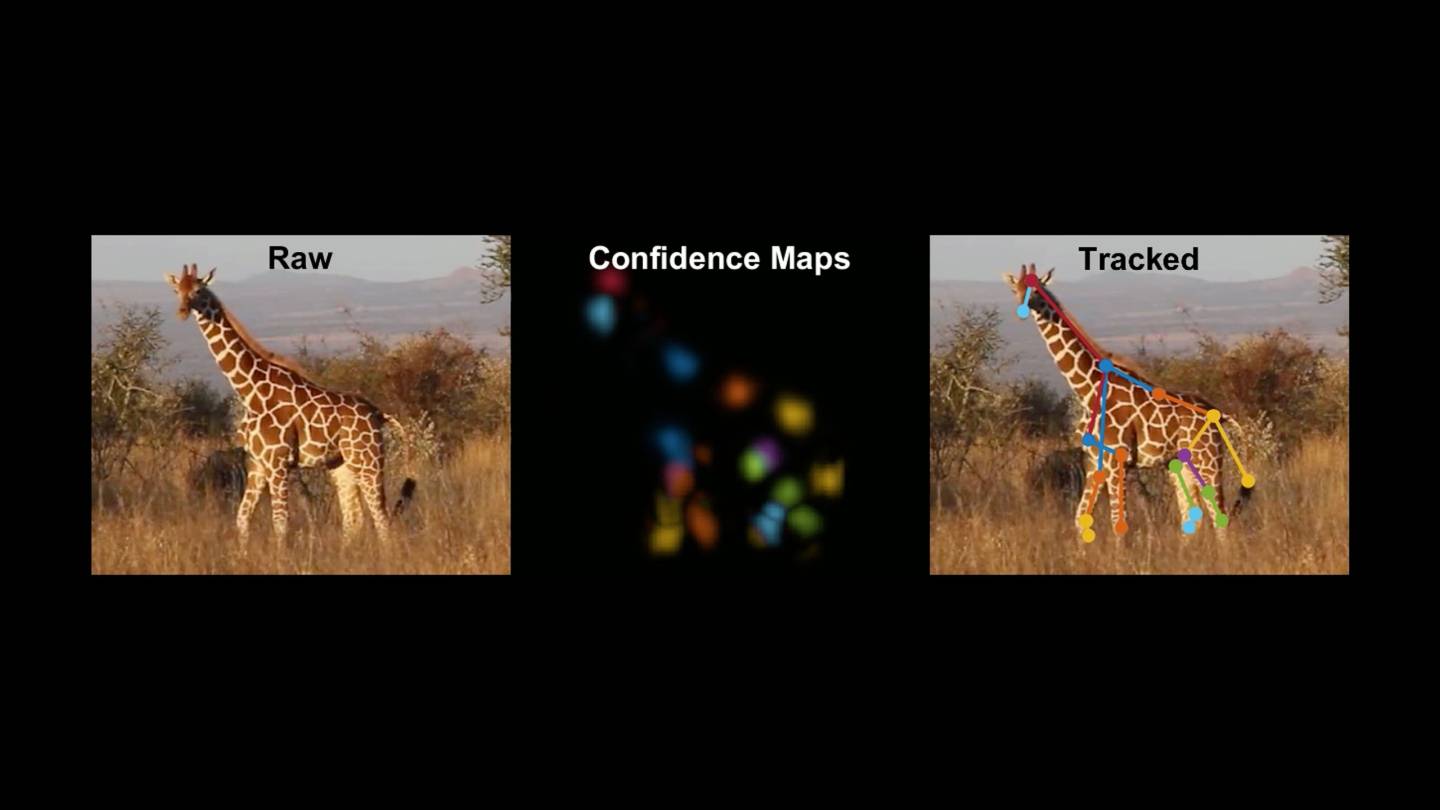 Giraffe video demonstrates LEAP