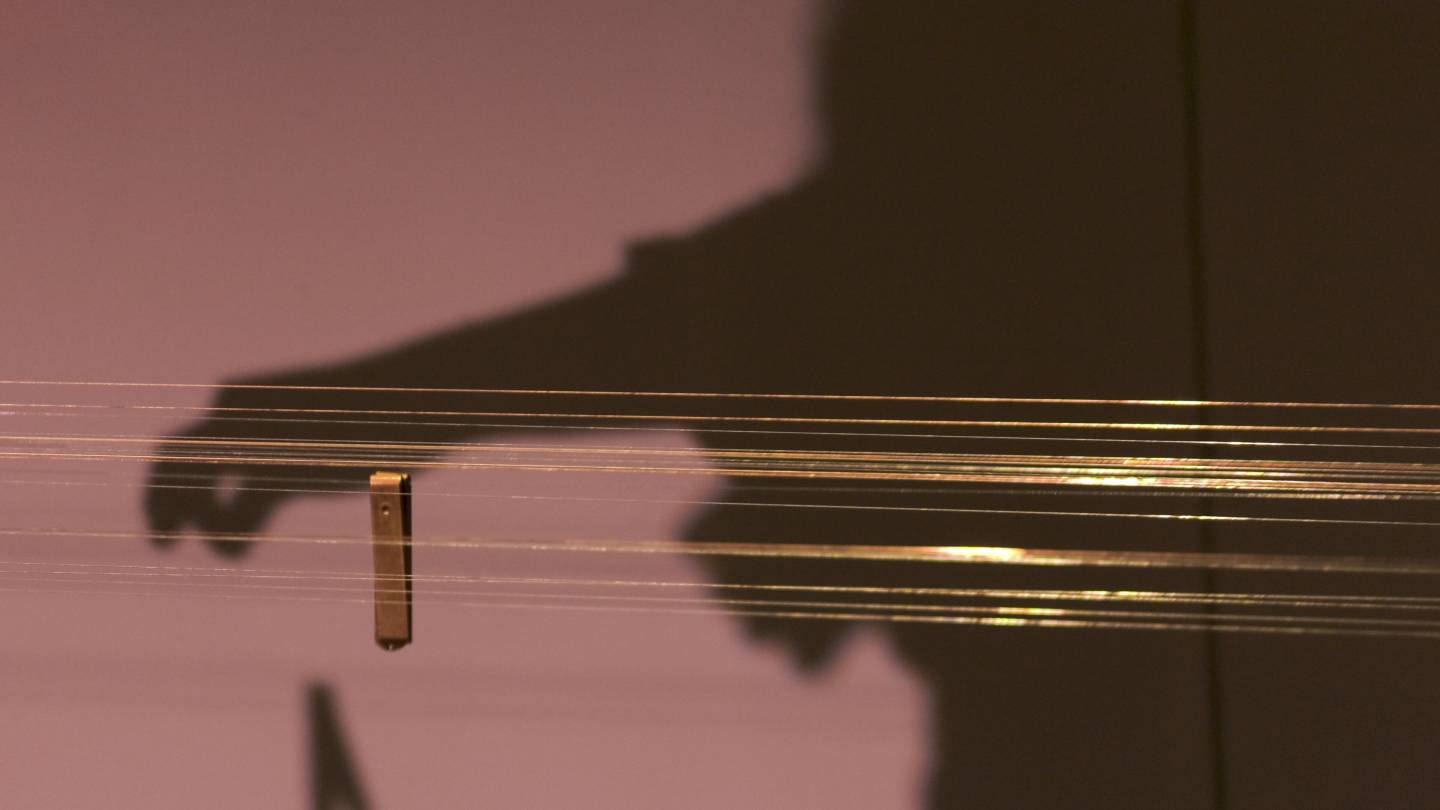 Rows of musical strings with shadow of hand plucking strings in the background