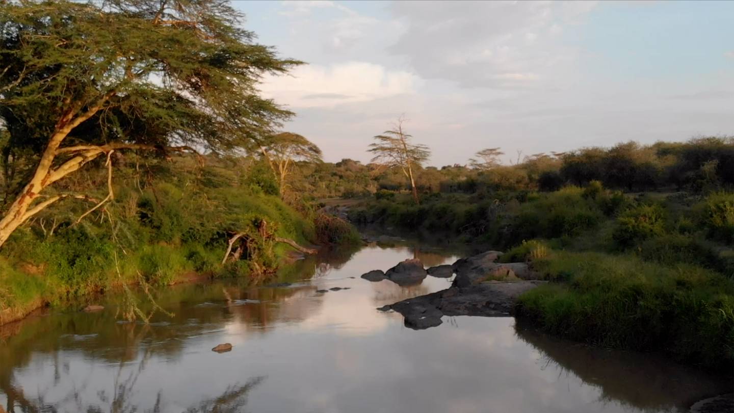 A watery landscape in Kenya