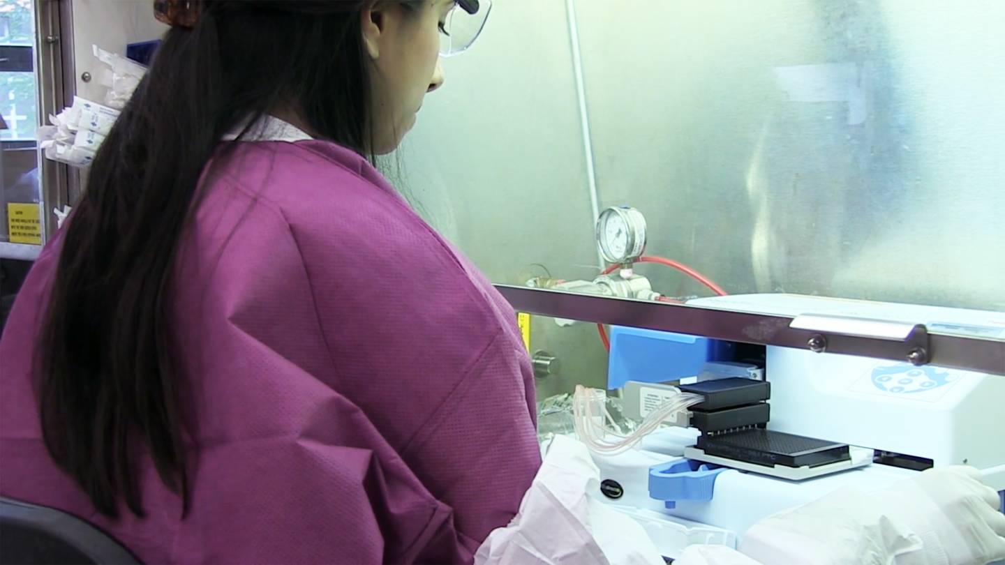 A graduate student works in a laboratory