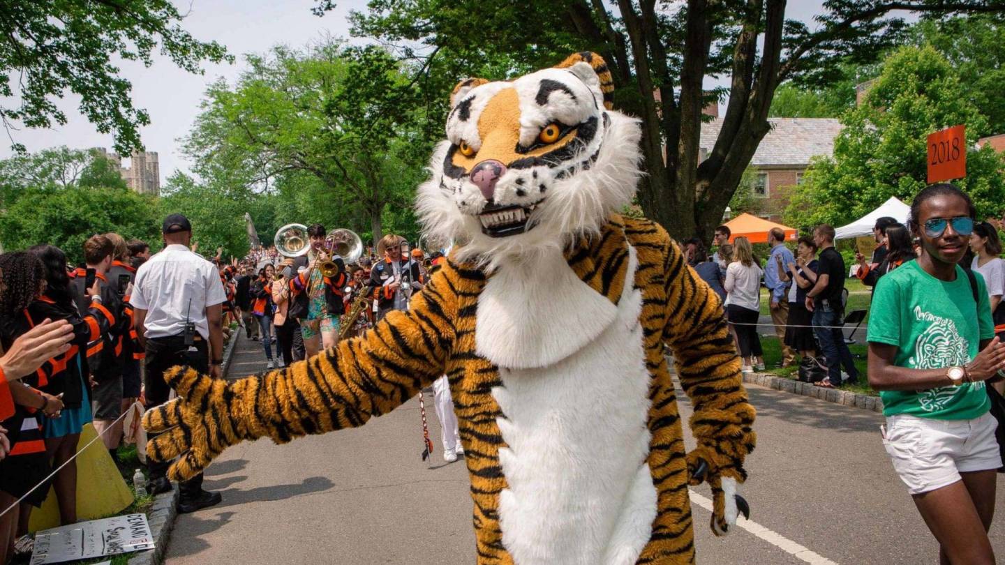 Tiger giving a high-five to a spectator at P-rade 2019