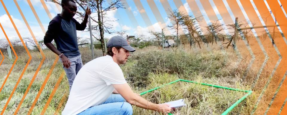 Rob Pringle in a field