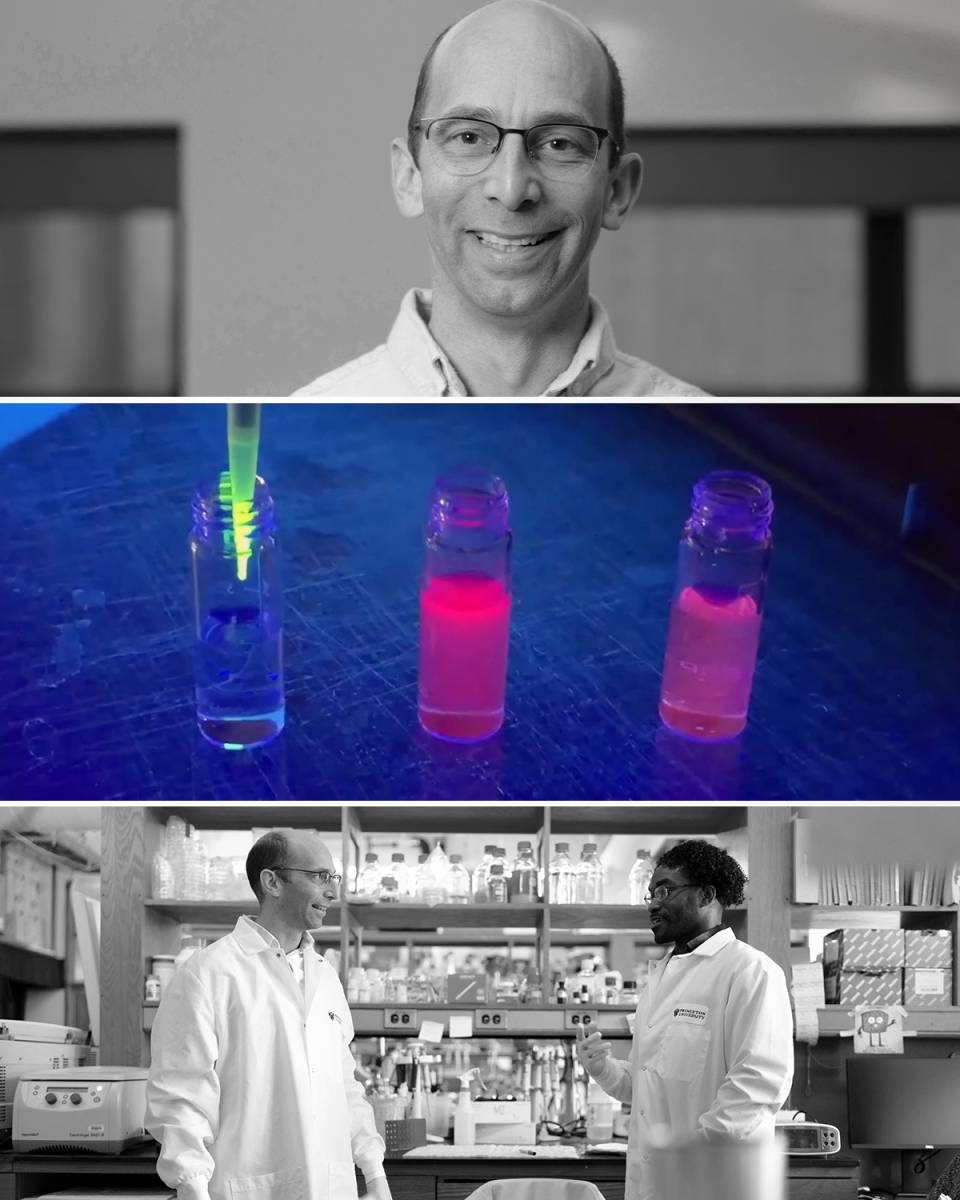 Three stacked images show Jonikas, test tubes from the lab, and Jonikas talking with a lab team member.