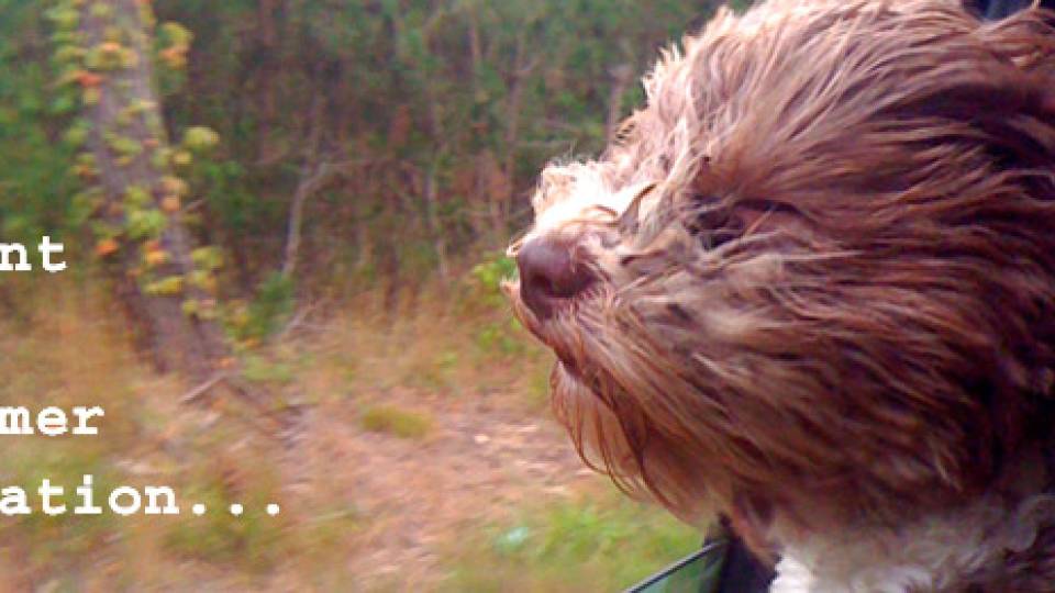 Photo Contest homepage