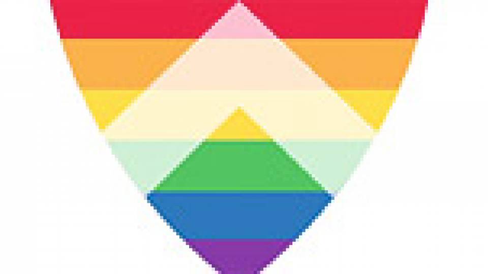 LGBT video multimedia