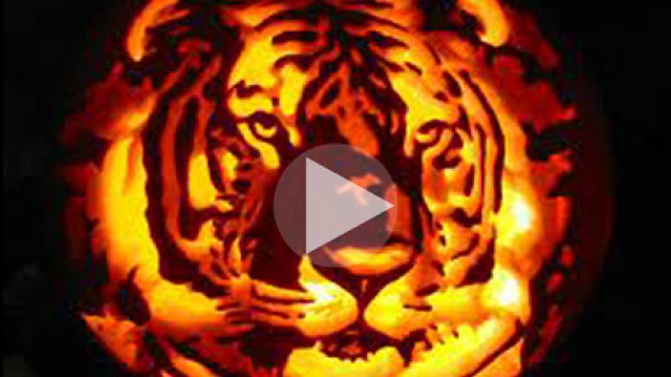 Halloween homepage visual