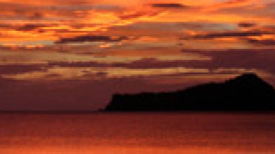 International Eye 'Junquial Sunset' by Eliot Linton '15