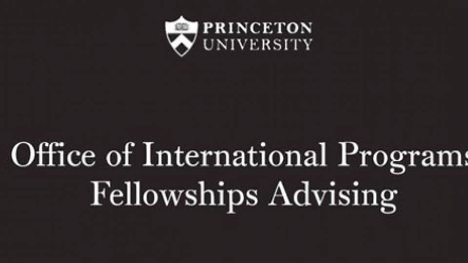 Office of International Programs Fellowships