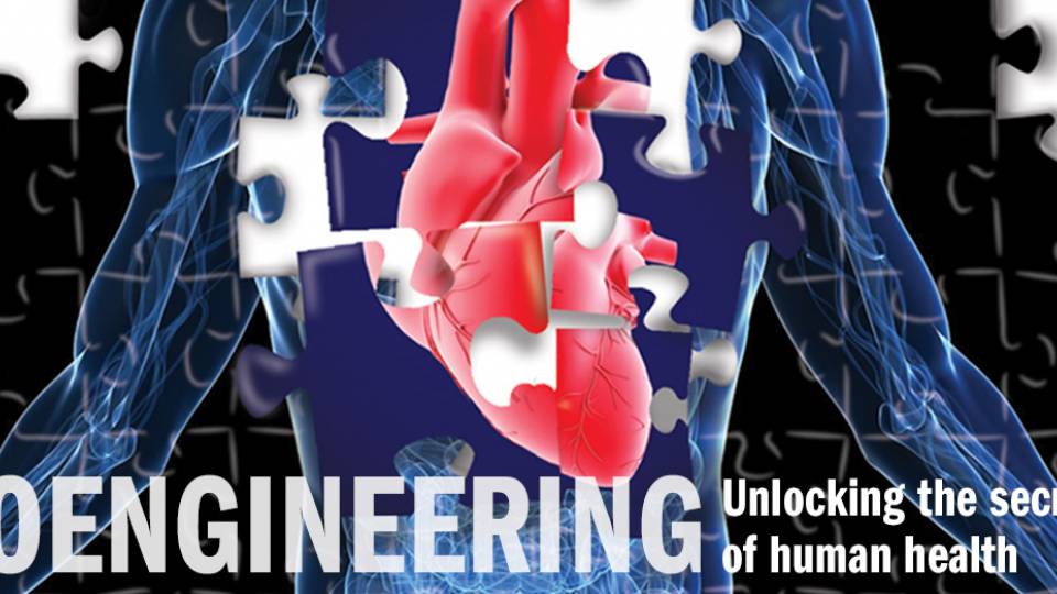 Bioengineering homepage