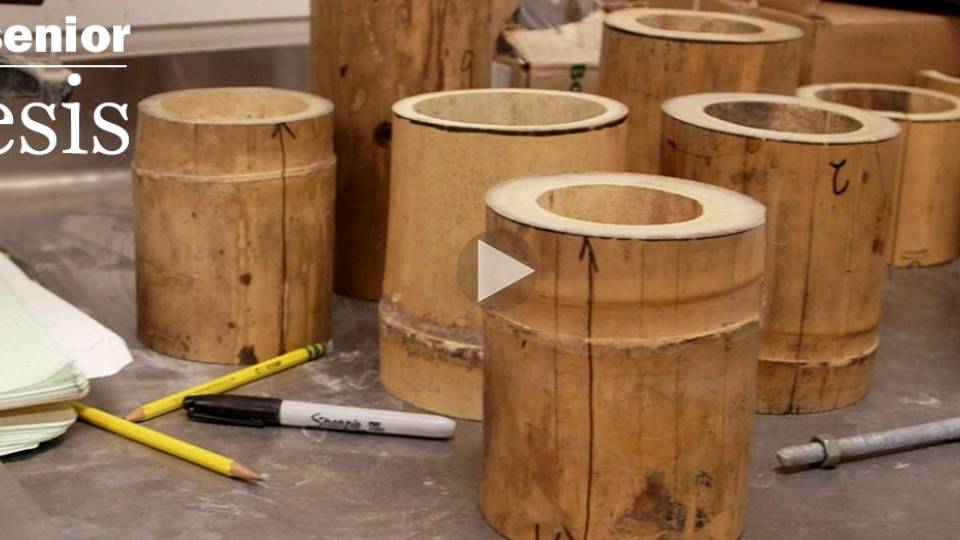 "The senior thesis" Building with bamboo