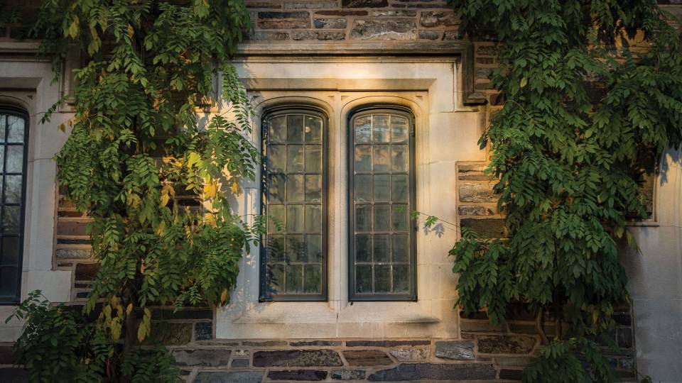 Windows surrounded by Ivy