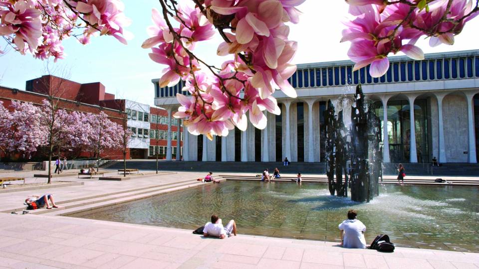 Photo of tree blossoms framing a view of Scudder Plaza and its fountain in front of Robertson Hall on the Princeton campus.