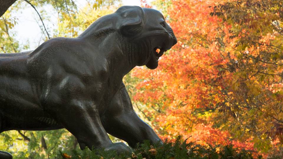 Bronze tiger statue with fall leaves