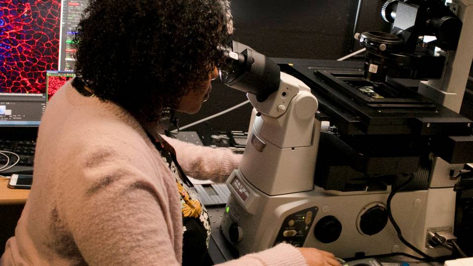 Looking through lab equipment in Nikon Lab