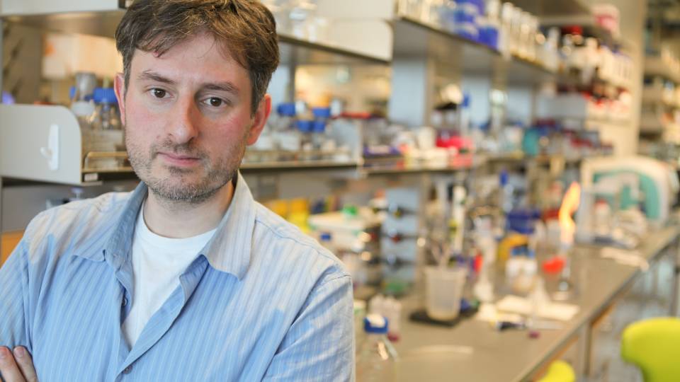 Mohammad Seyedsayamdost