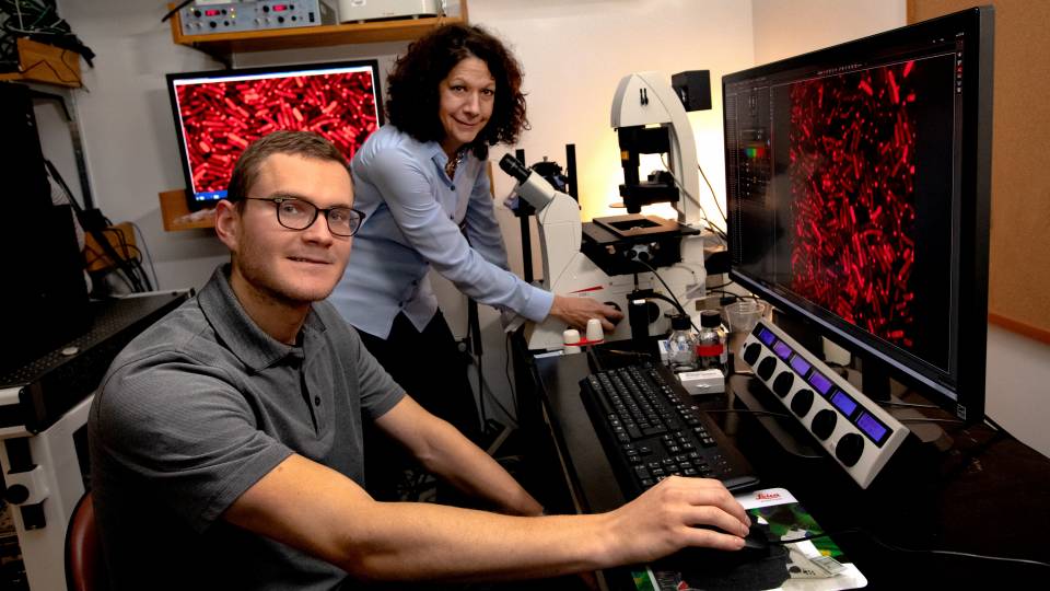 Bonnie Bassler and Justin Silpe sit at a computer station and a microscope, looking at bacteria
