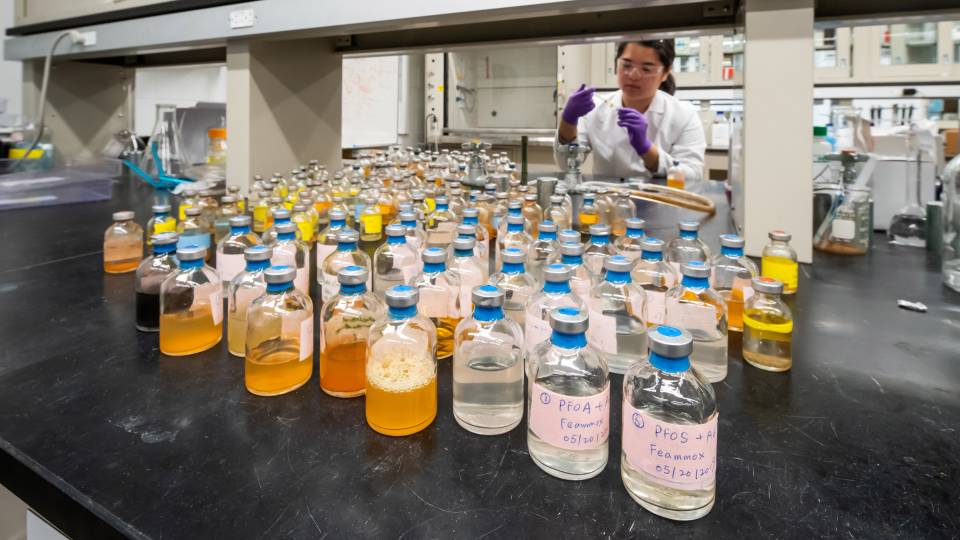 A researcher looks at many bottles of liquid samples