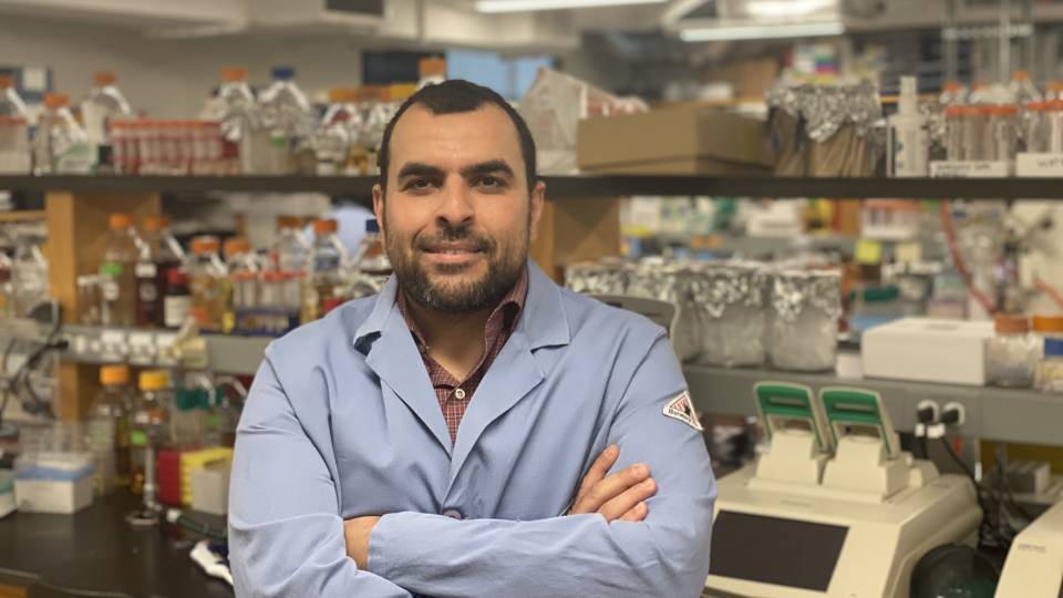 Mohamed Abou Donia in his lab