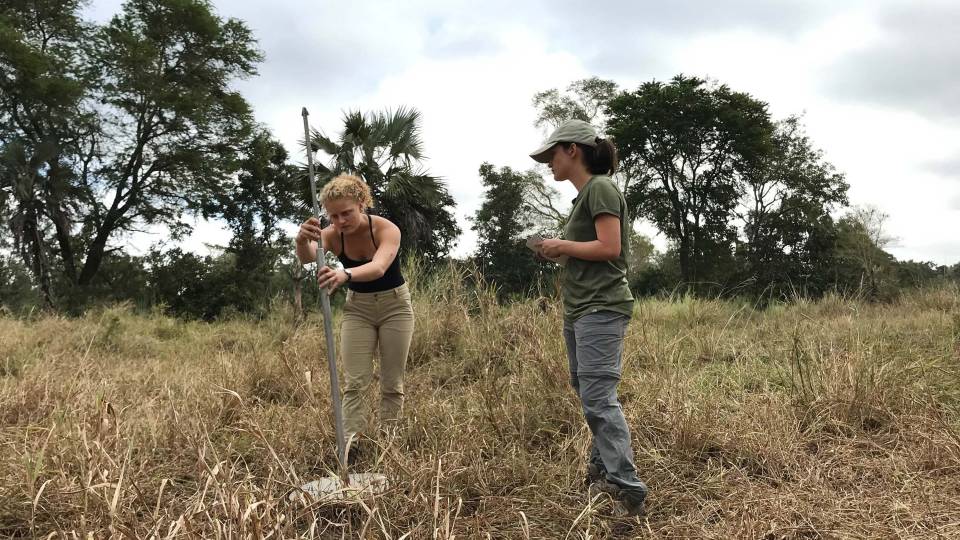 Stahl and another student take measurements in a field