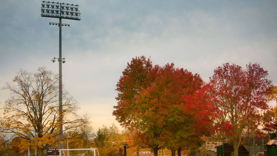 Fall foliage over the soccer pitch