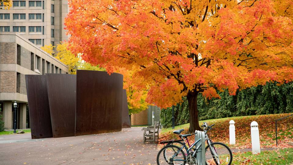 Fall beauty and Richard Serra sculpture