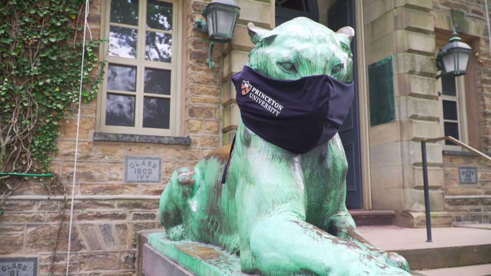 Tiger sculpture wearing a Princeton University mask 