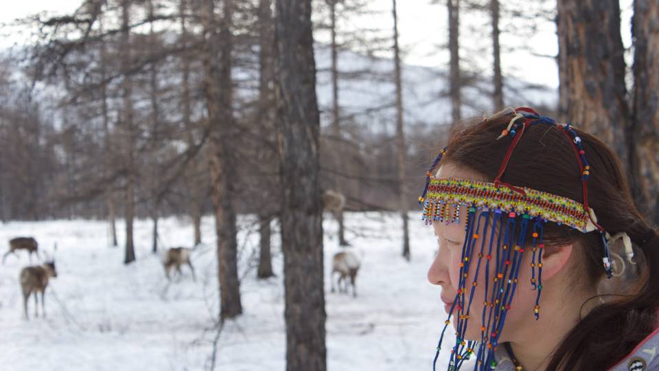 Olga Ulturgasheva looks at a reindeer herd in the distance
