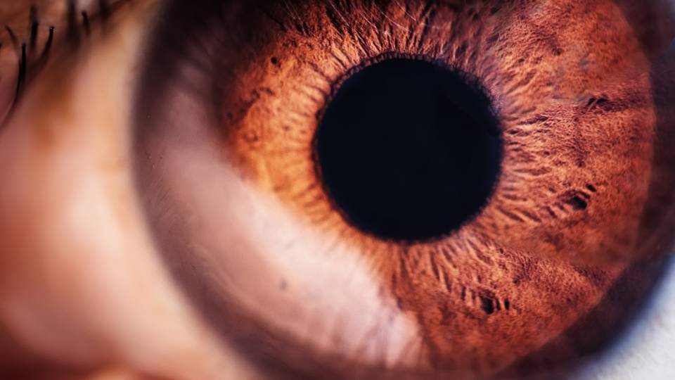 closeup of a dilated pupil