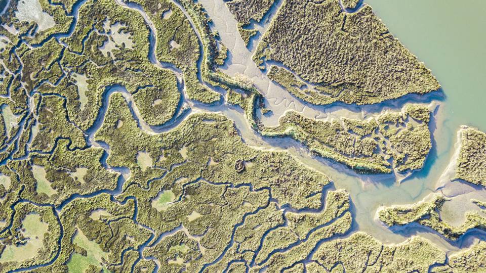 Aerial view of marshlands